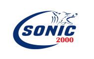 sonic 2000